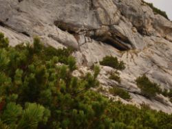 2013-10-08_Guffert (071).JPG